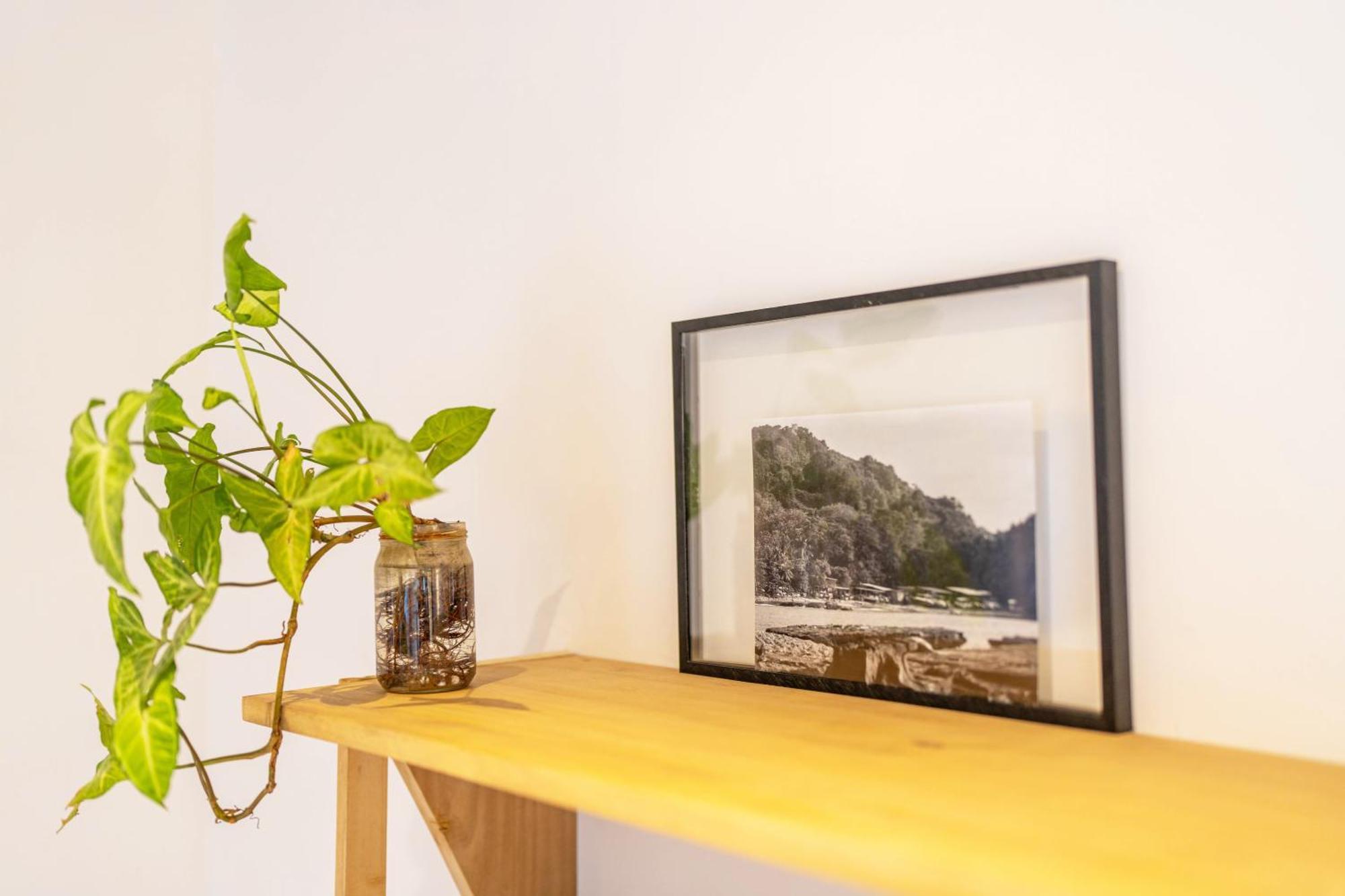 Playa Santa Teresa  Alma Tropical - Luxury Villa Experience In Santa Teresa מראה חיצוני תמונה